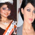 Haifa Wehbe Plastic Surgery Rumors